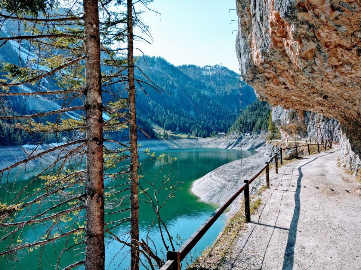 Pension Edelweiss Top 25 Gosau Exteriér fotografie