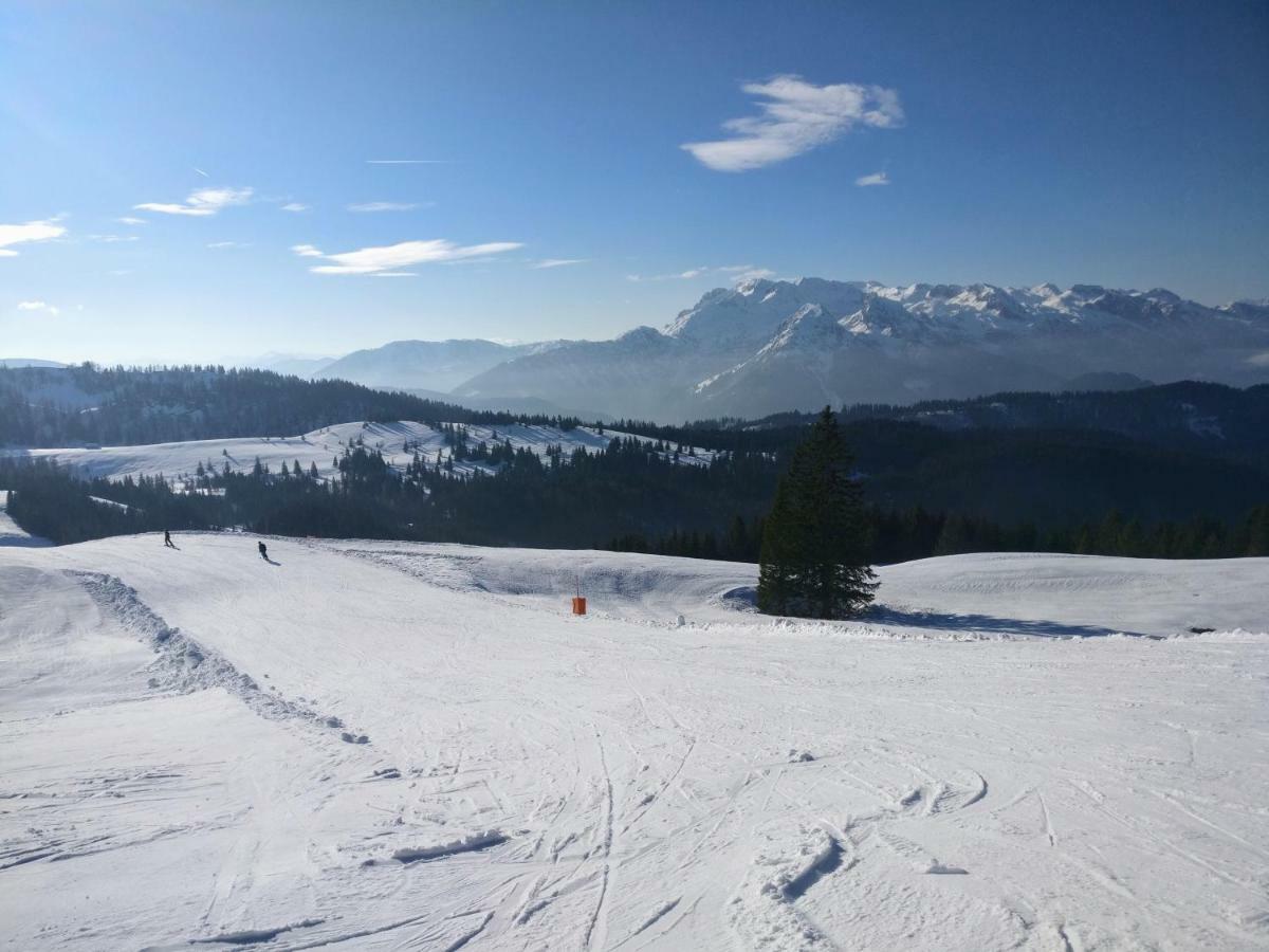 Pension Edelweiss Top 25 Gosau Exteriér fotografie