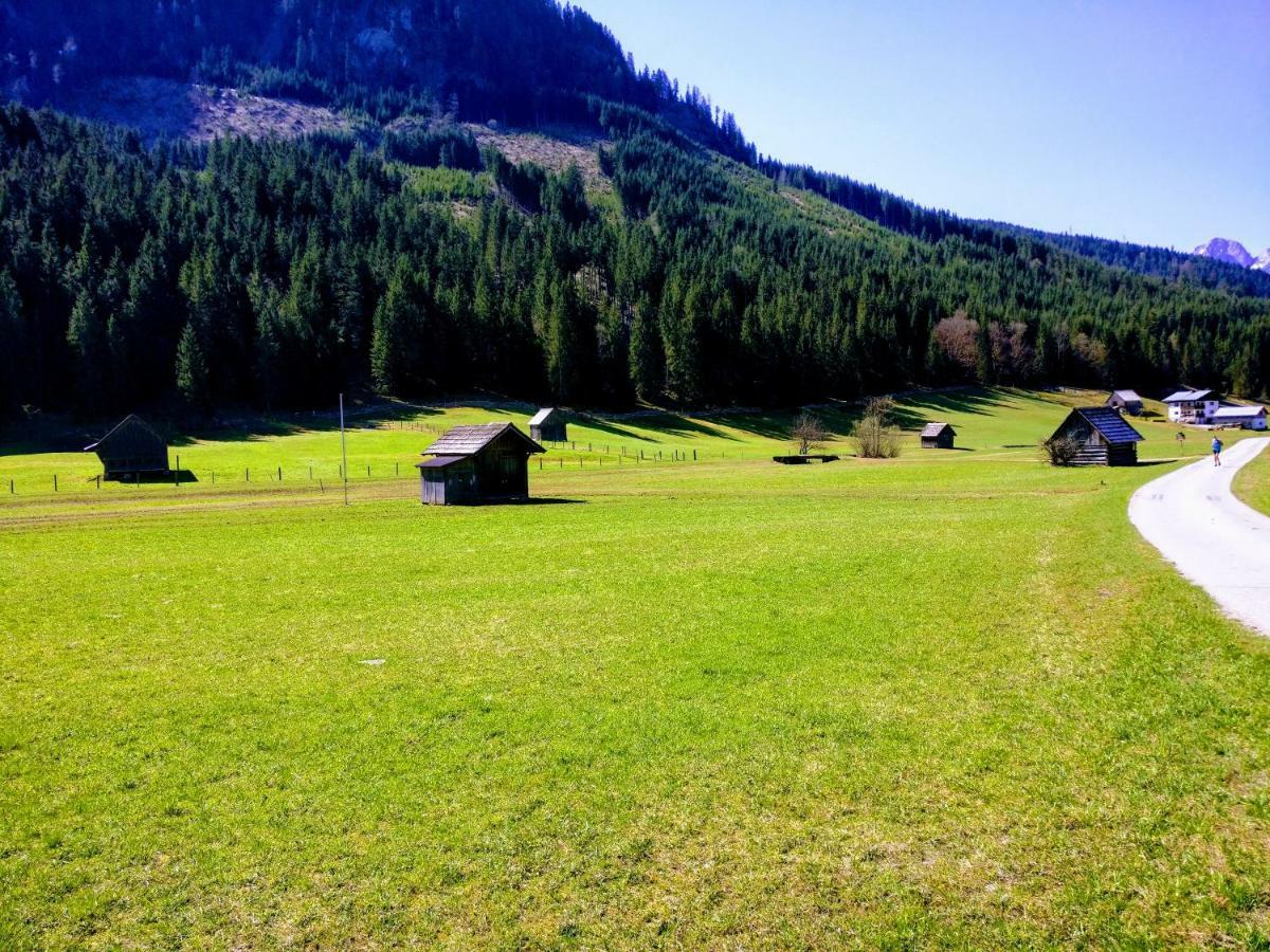 Pension Edelweiss Top 25 Gosau Exteriér fotografie
