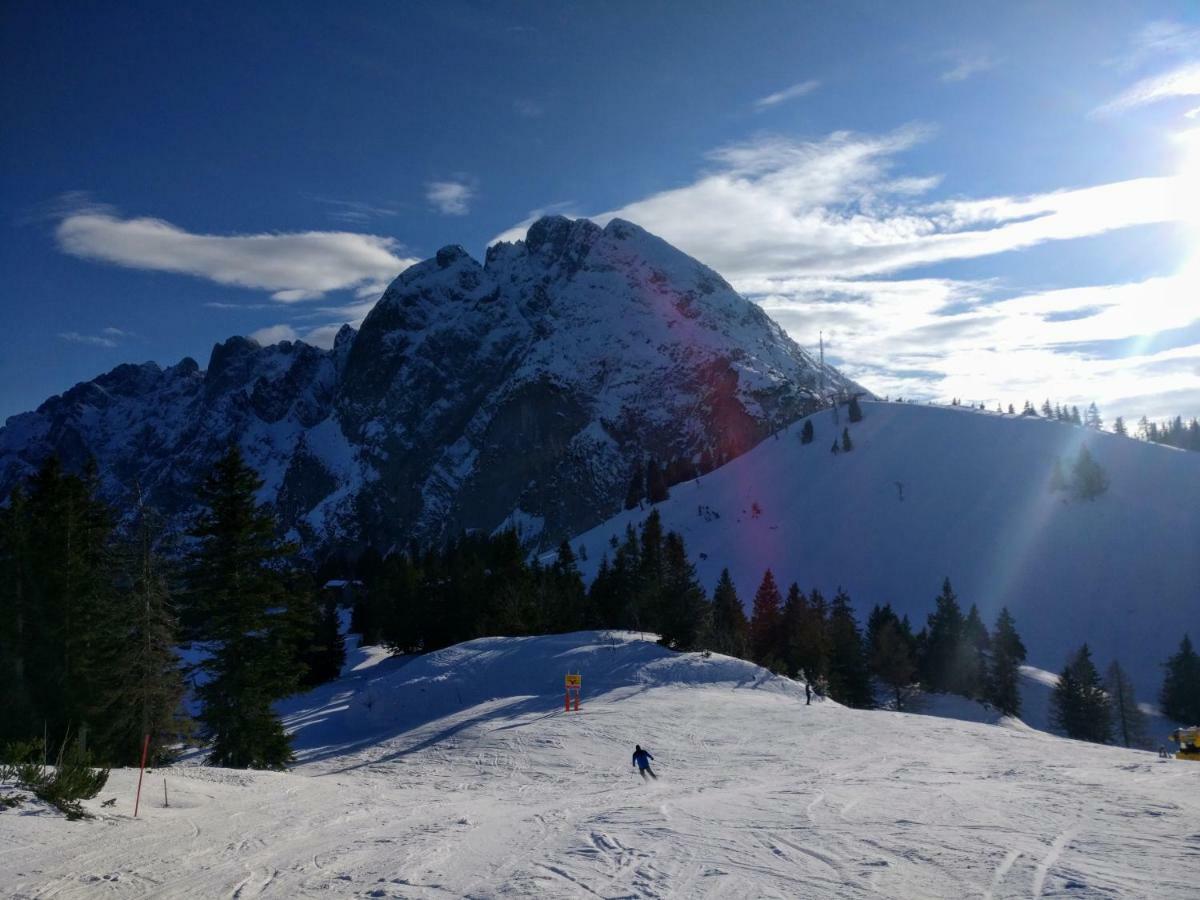 Pension Edelweiss Top 25 Gosau Exteriér fotografie