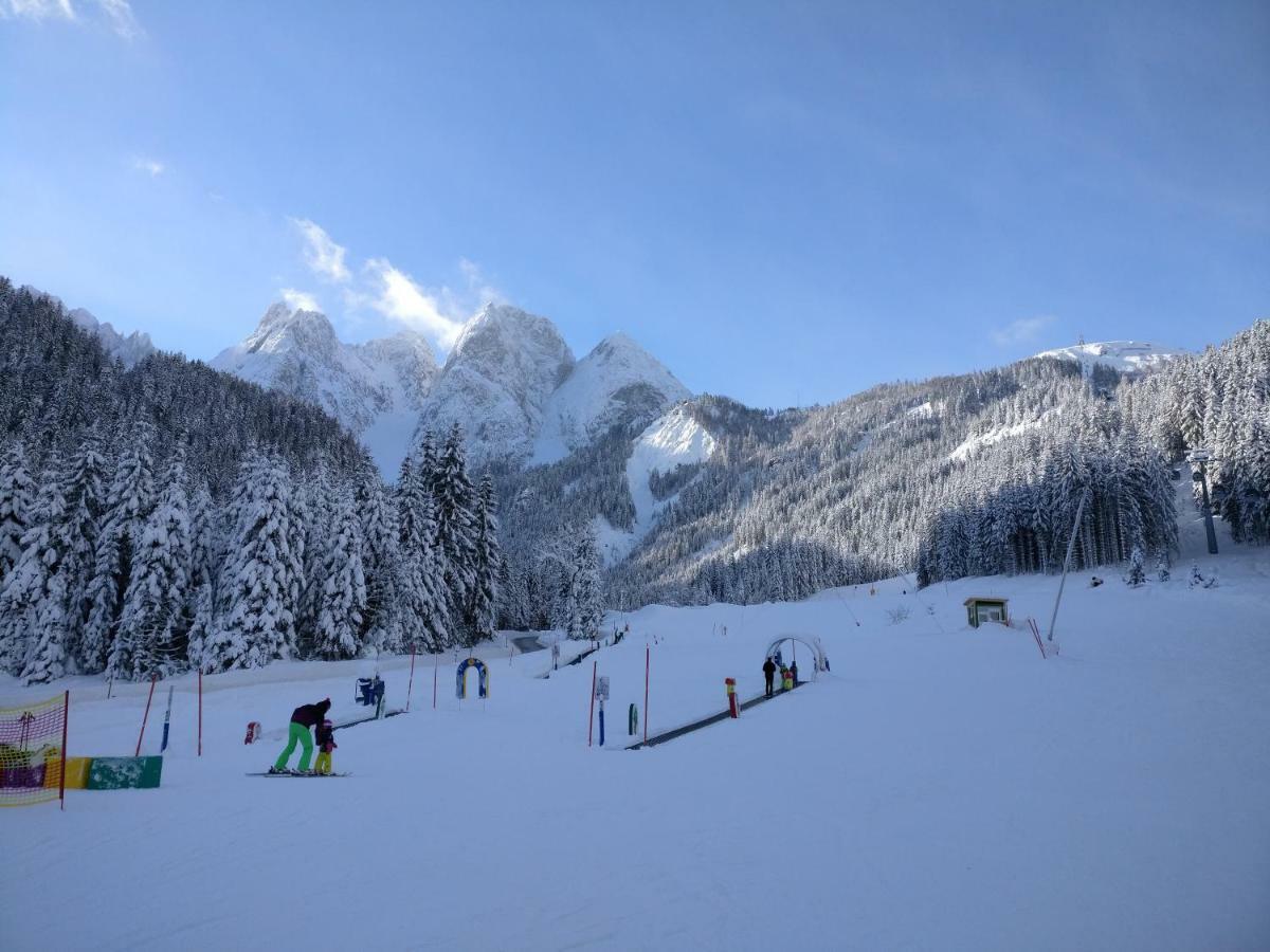 Pension Edelweiss Top 25 Gosau Exteriér fotografie