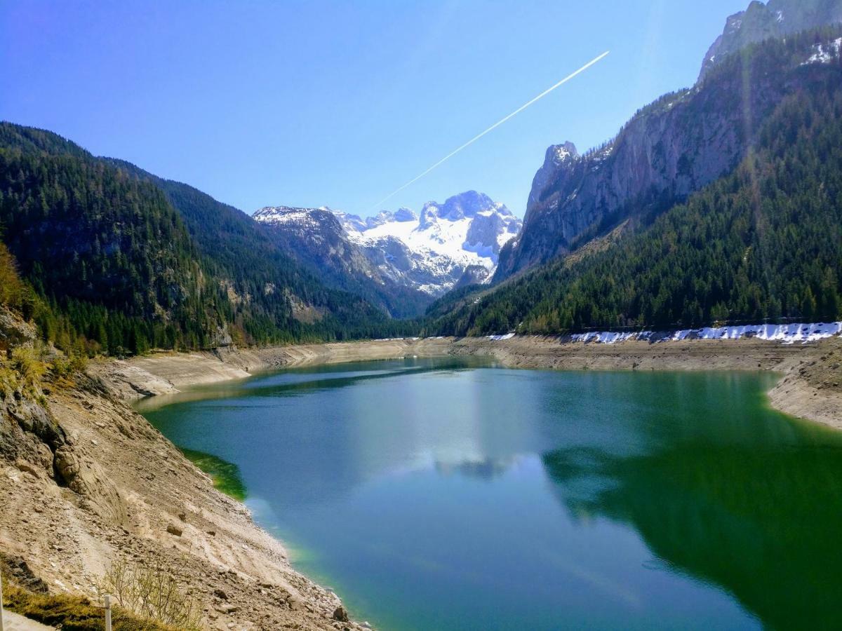 Pension Edelweiss Top 25 Gosau Exteriér fotografie