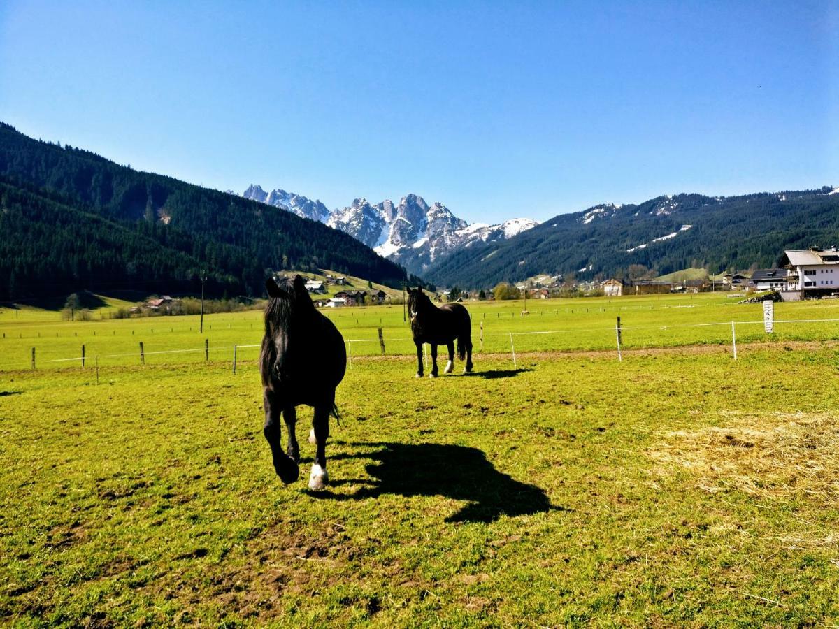 Pension Edelweiss Top 25 Gosau Exteriér fotografie