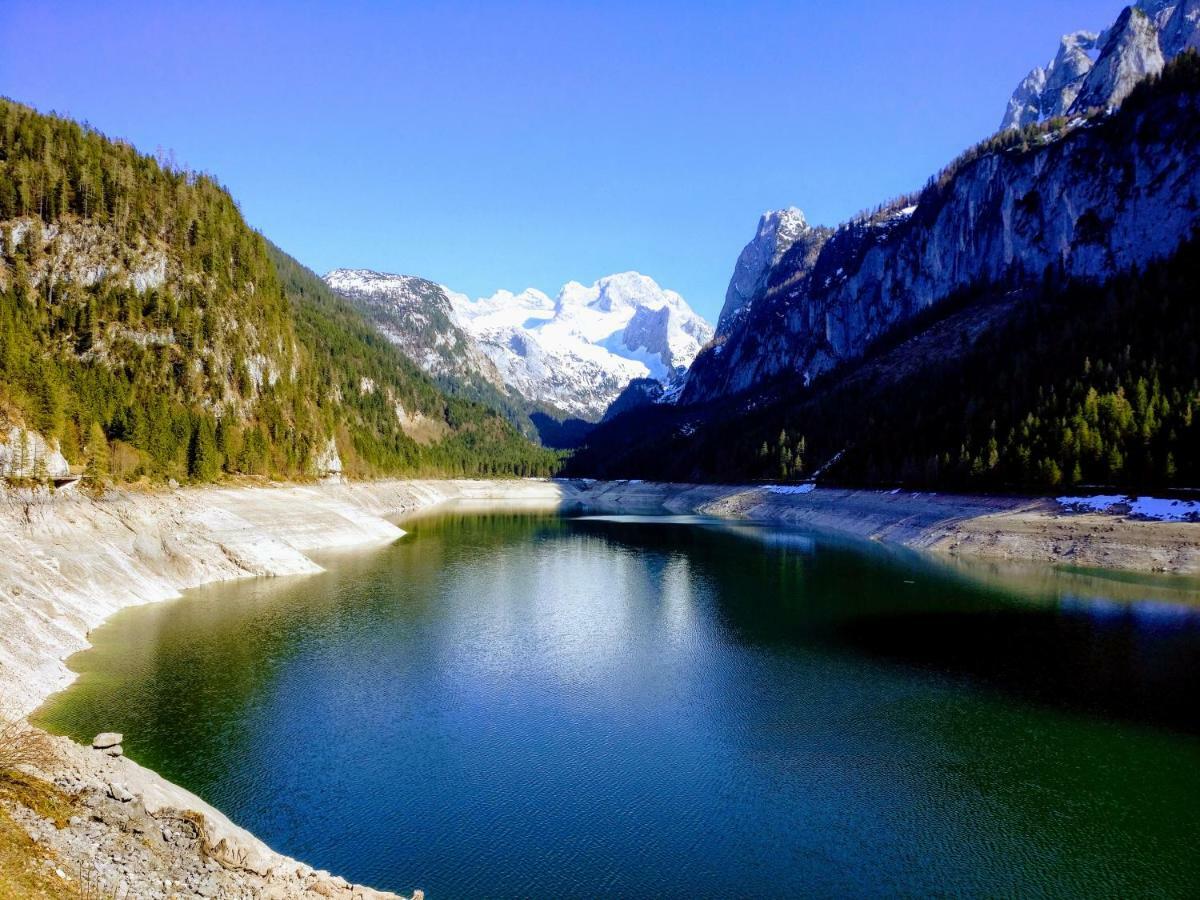 Pension Edelweiss Top 25 Gosau Exteriér fotografie