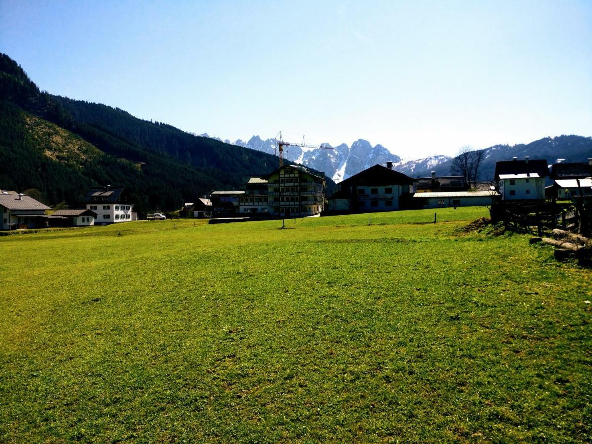 Pension Edelweiss Top 25 Gosau Exteriér fotografie