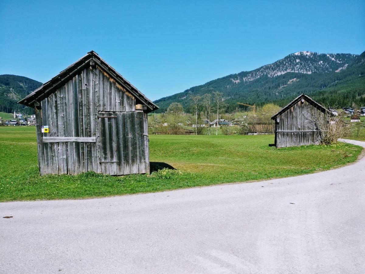 Pension Edelweiss Top 25 Gosau Exteriér fotografie