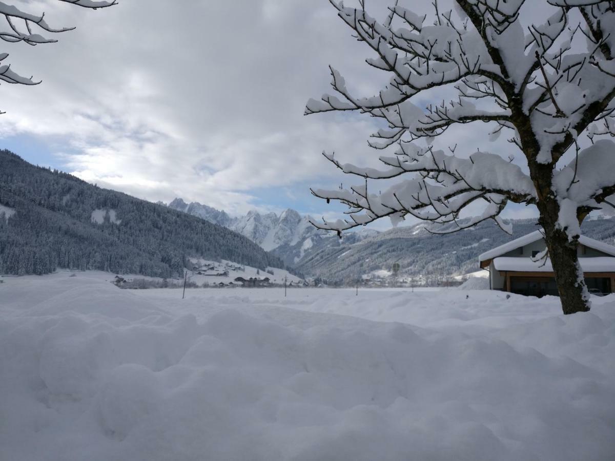 Pension Edelweiss Top 25 Gosau Exteriér fotografie