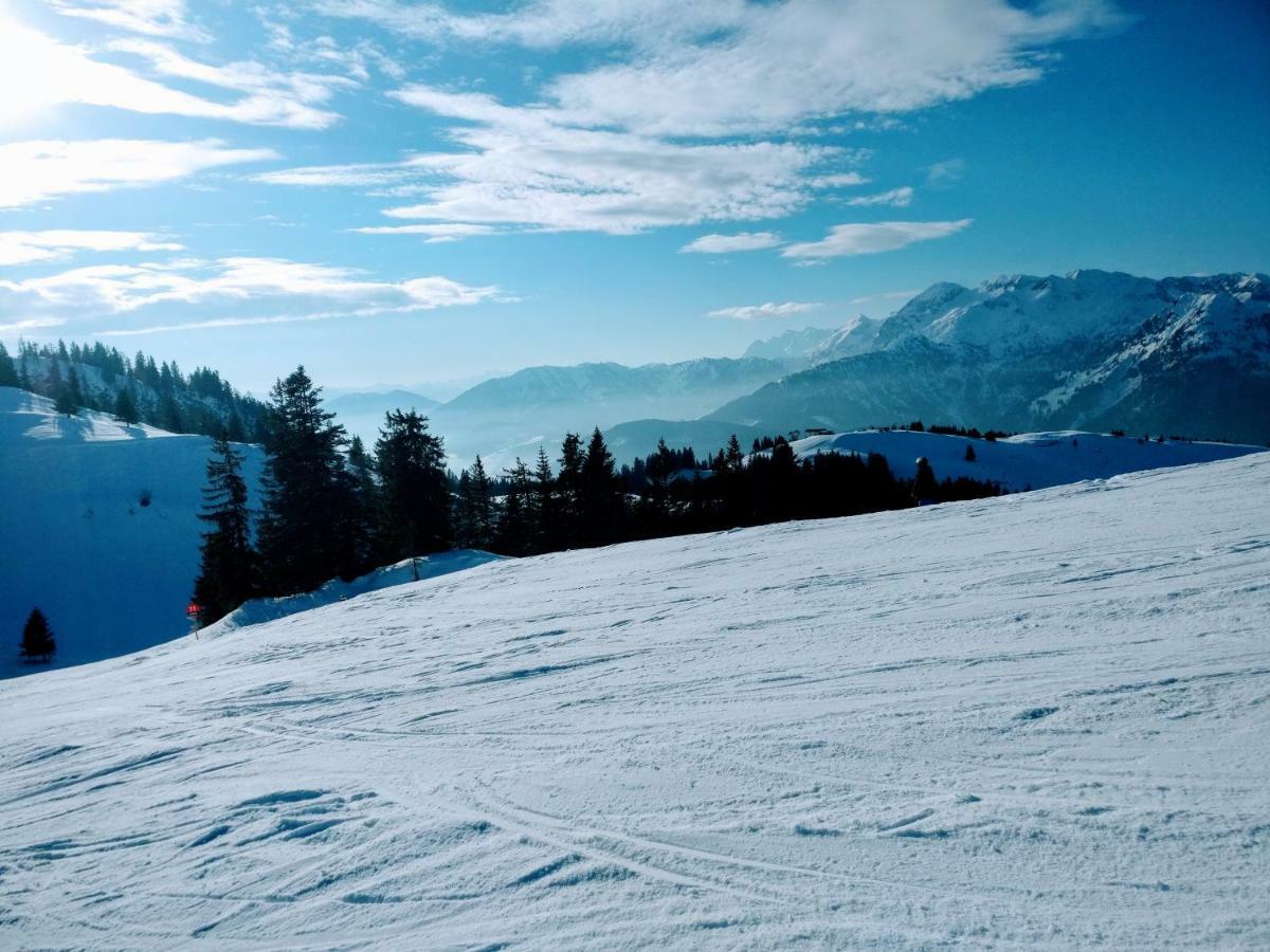 Pension Edelweiss Top 25 Gosau Exteriér fotografie