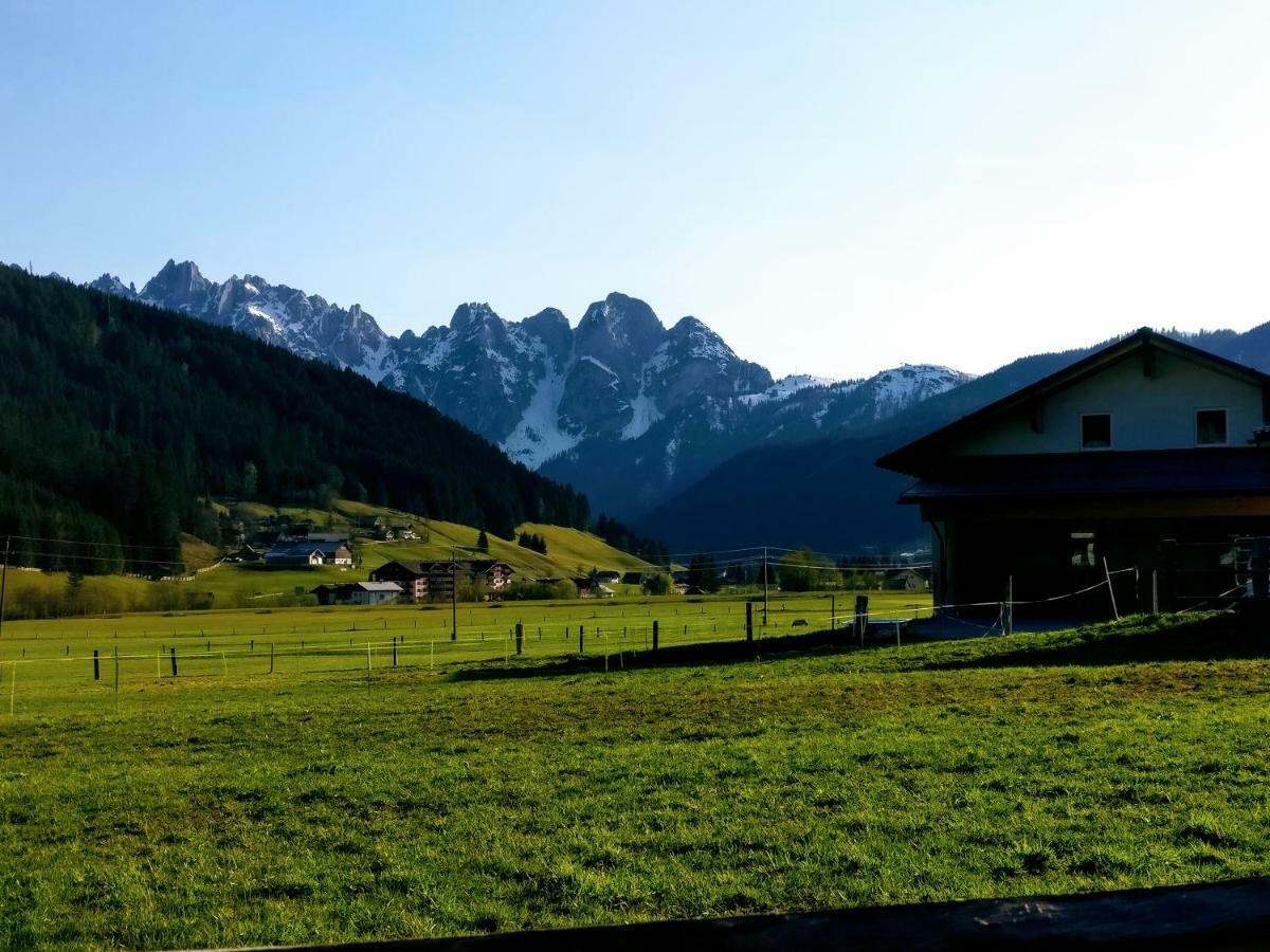 Pension Edelweiss Top 25 Gosau Exteriér fotografie