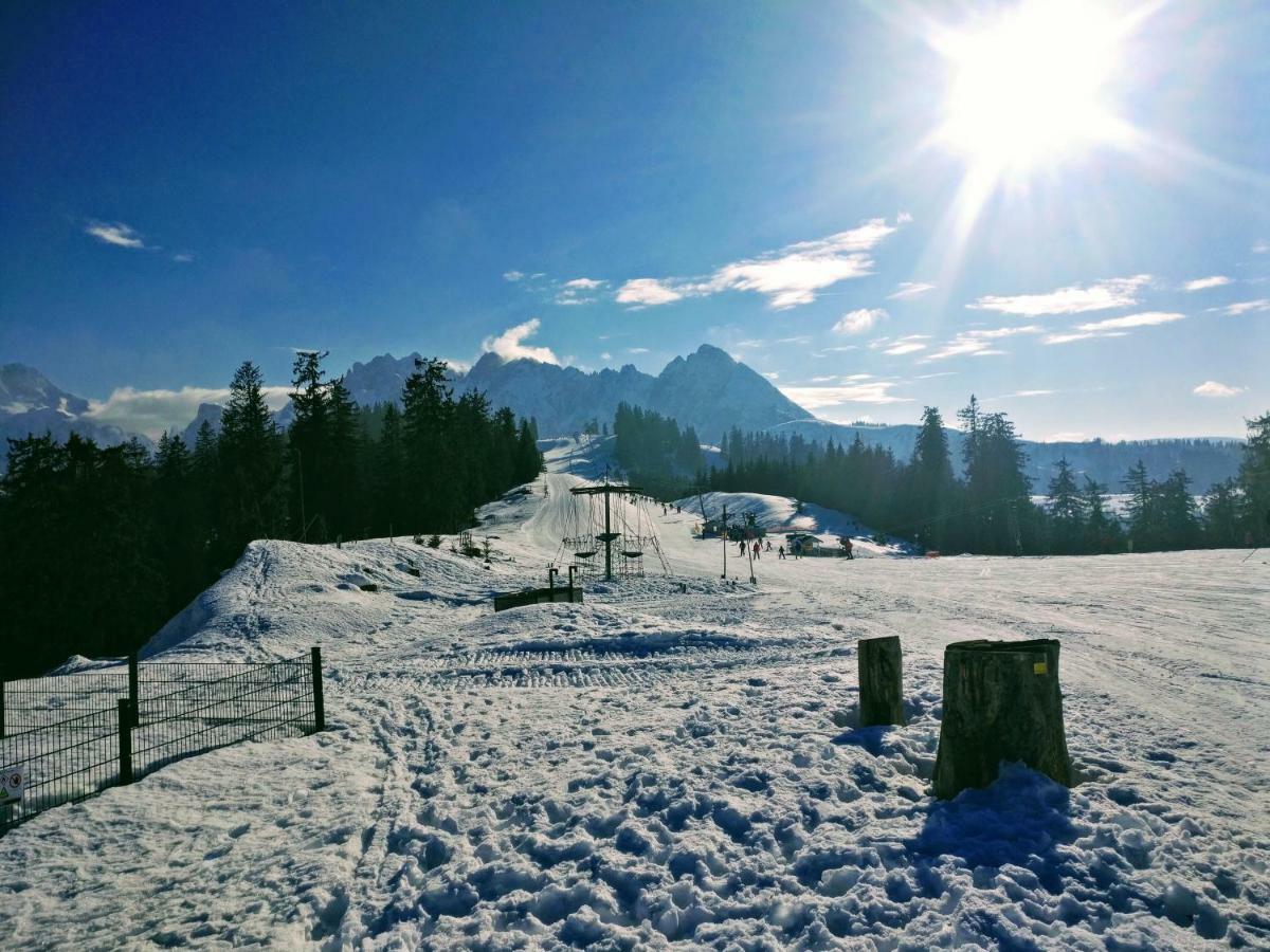 Pension Edelweiss Top 25 Gosau Exteriér fotografie