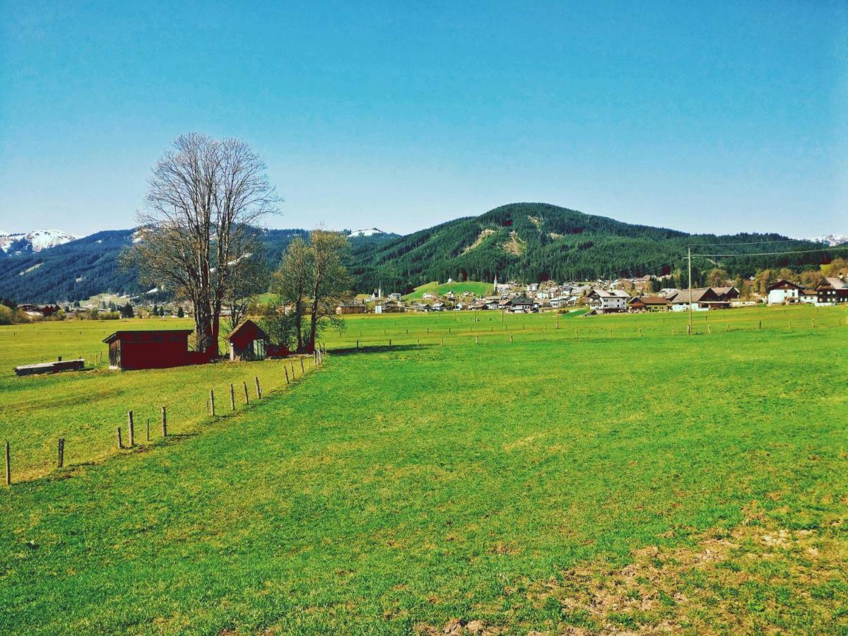 Pension Edelweiss Top 25 Gosau Exteriér fotografie