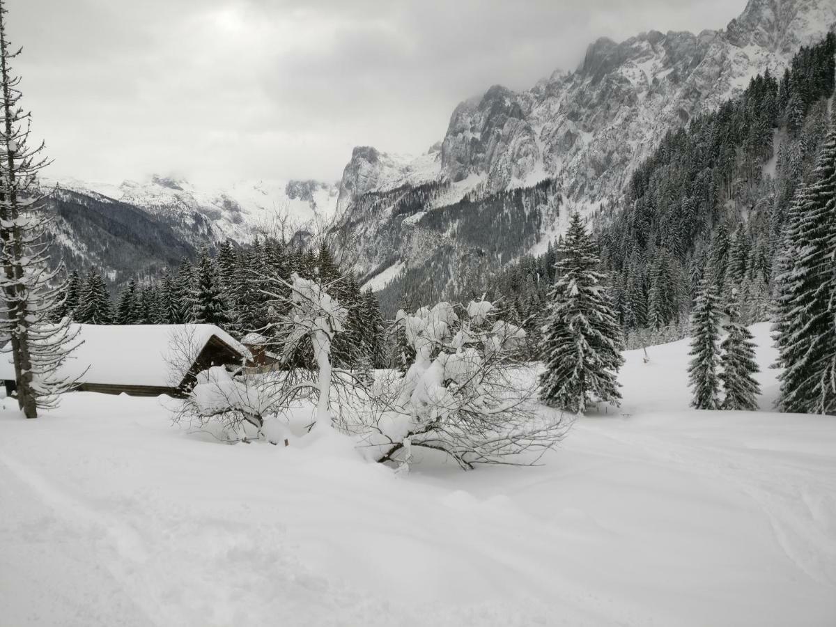 Pension Edelweiss Top 25 Gosau Exteriér fotografie
