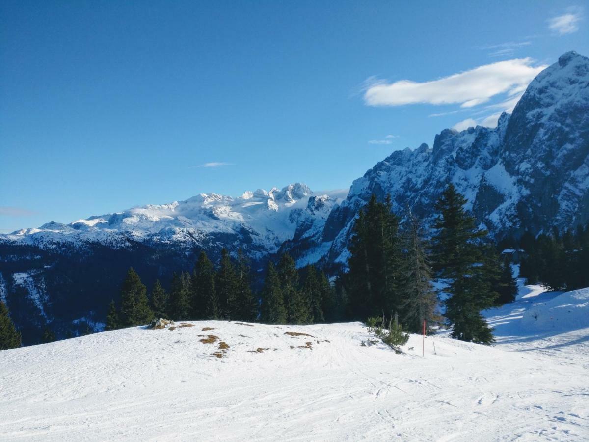 Pension Edelweiss Top 25 Gosau Exteriér fotografie