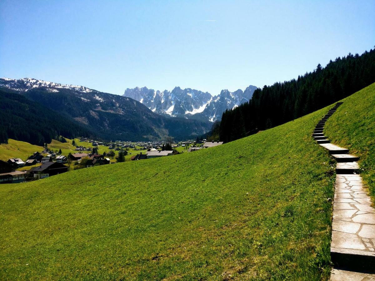 Pension Edelweiss Top 25 Gosau Exteriér fotografie