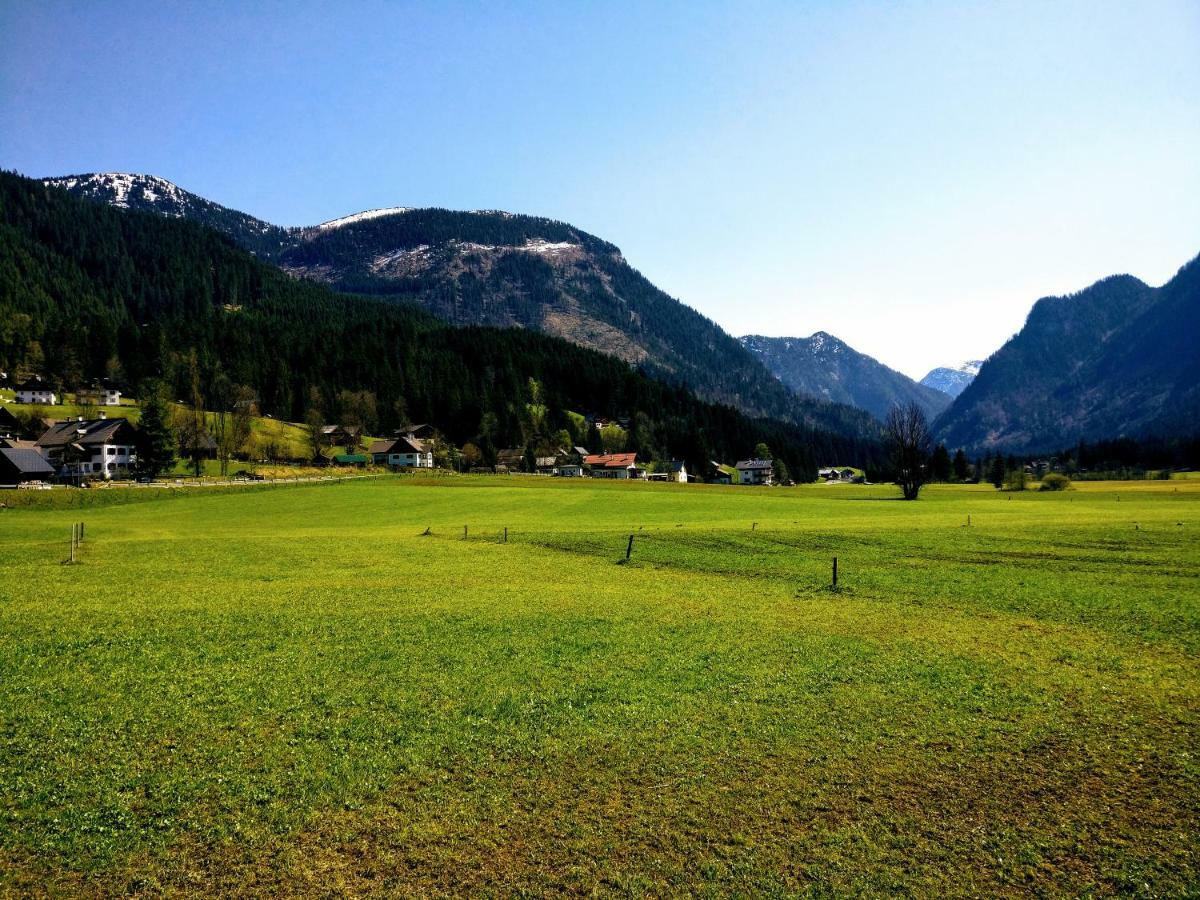 Pension Edelweiss Top 25 Gosau Exteriér fotografie