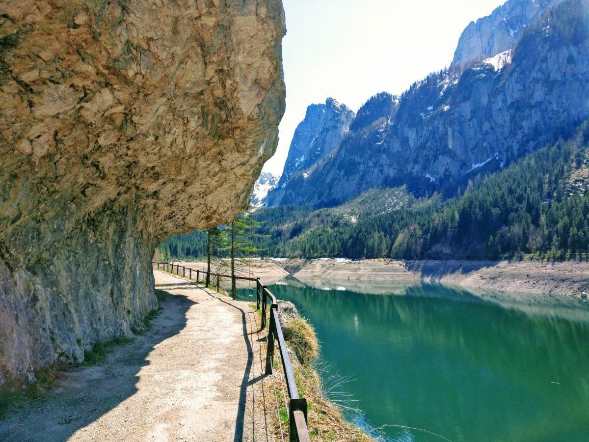 Pension Edelweiss Top 25 Gosau Exteriér fotografie