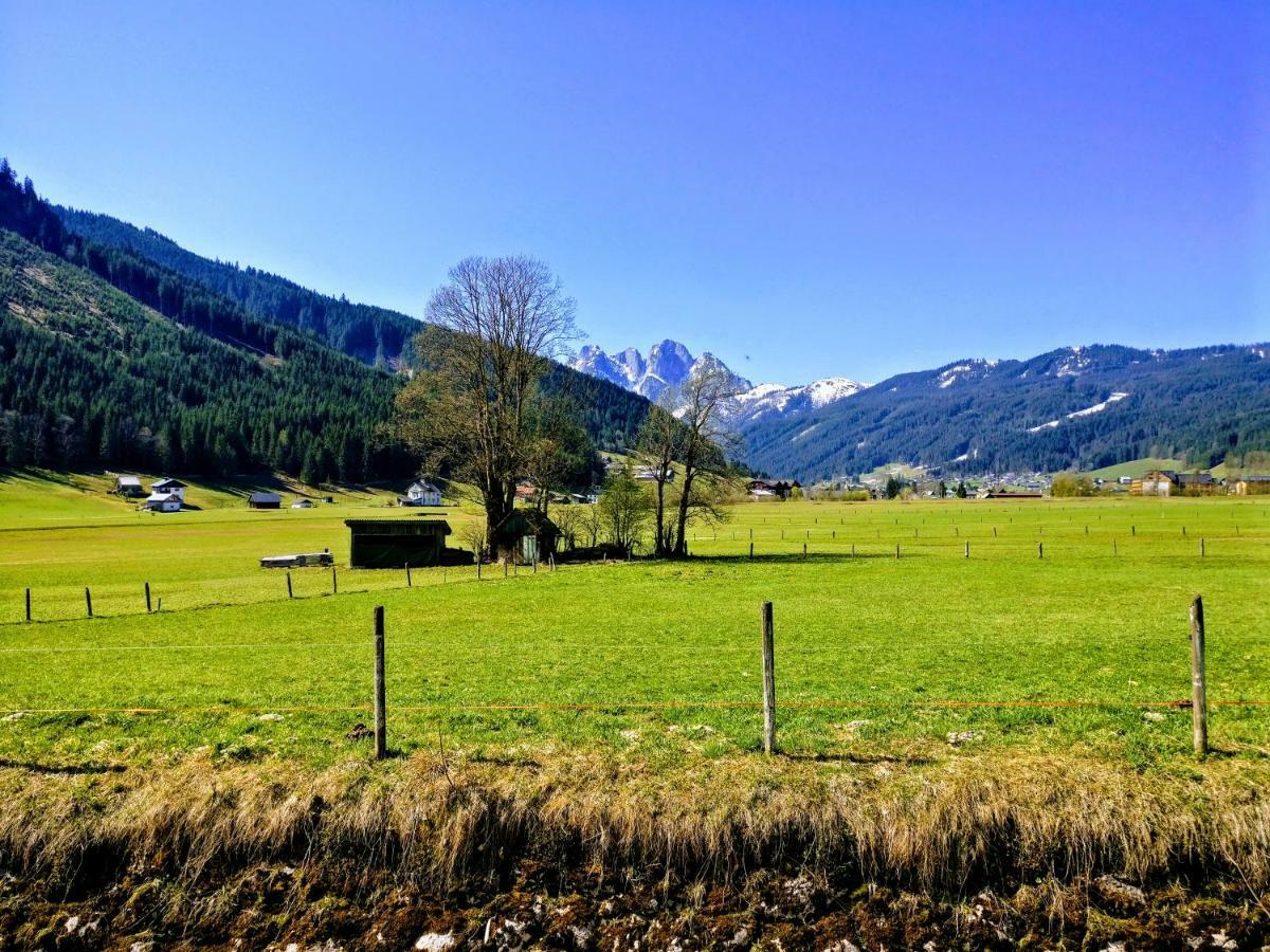 Pension Edelweiss Top 25 Gosau Exteriér fotografie