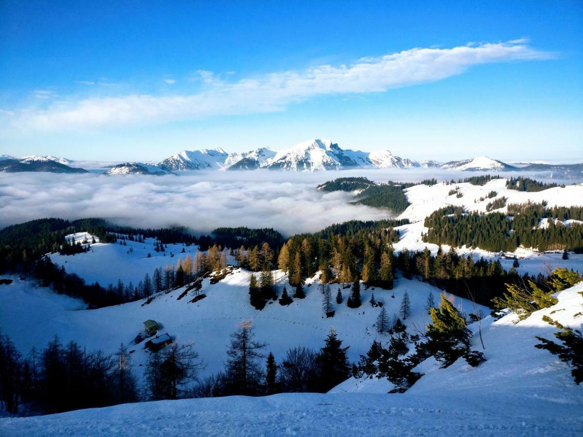 Pension Edelweiss Top 25 Gosau Exteriér fotografie