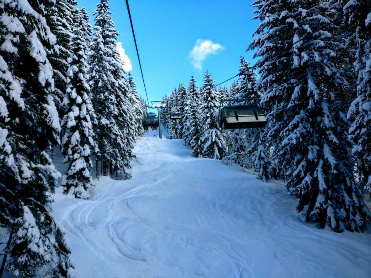 Pension Edelweiss Top 25 Gosau Exteriér fotografie