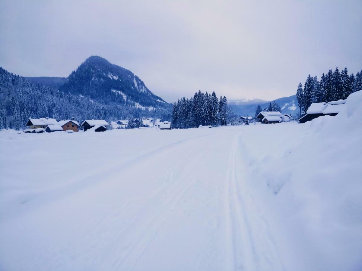 Pension Edelweiss Top 25 Gosau Exteriér fotografie