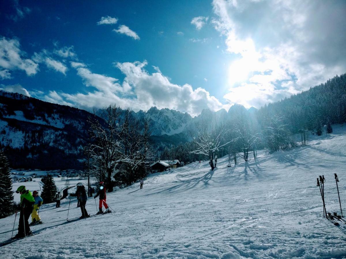 Pension Edelweiss Top 25 Gosau Exteriér fotografie