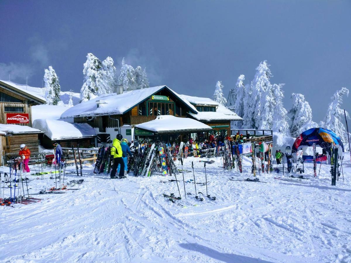 Pension Edelweiss Top 25 Gosau Exteriér fotografie