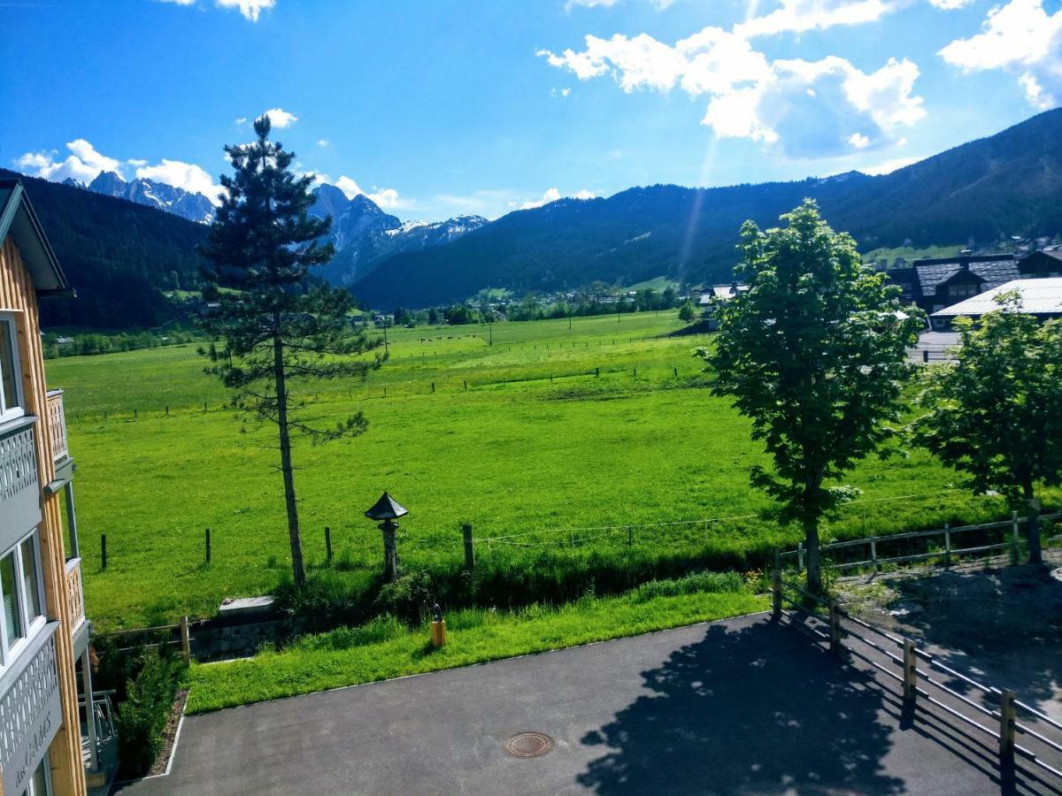 Pension Edelweiss Top 25 Gosau Exteriér fotografie