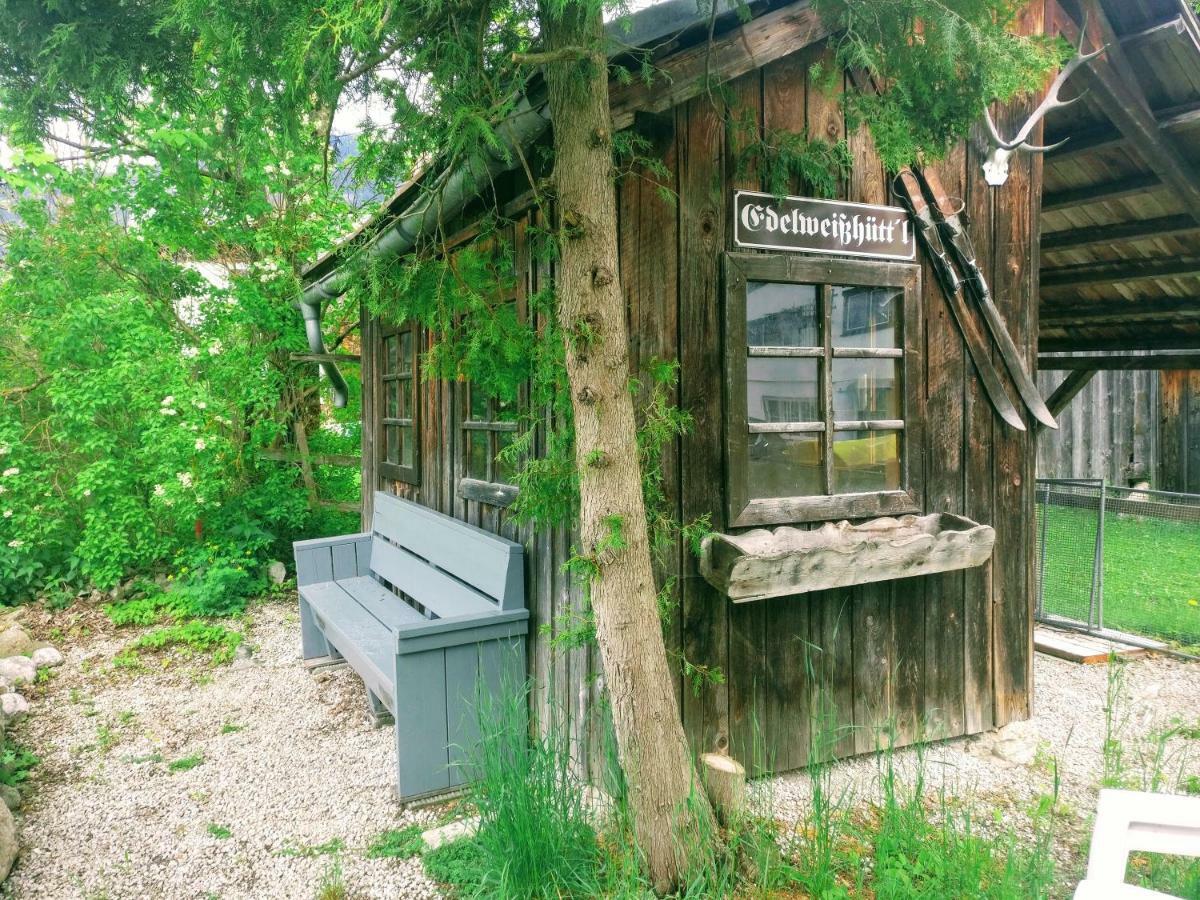 Pension Edelweiss Top 25 Gosau Exteriér fotografie