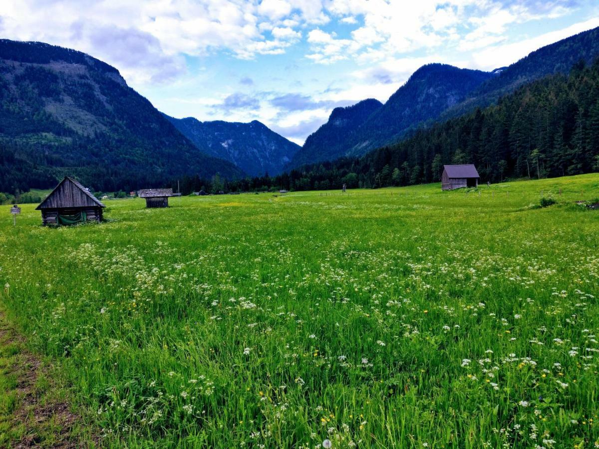 Pension Edelweiss Top 25 Gosau Exteriér fotografie